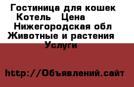 Гостиница для кошек. Котель › Цена ­ 500 - Нижегородская обл. Животные и растения » Услуги   